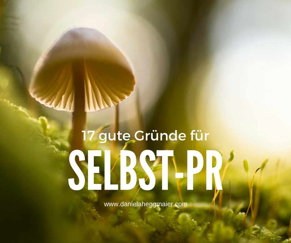 17 gute Gründe Selbst-PR