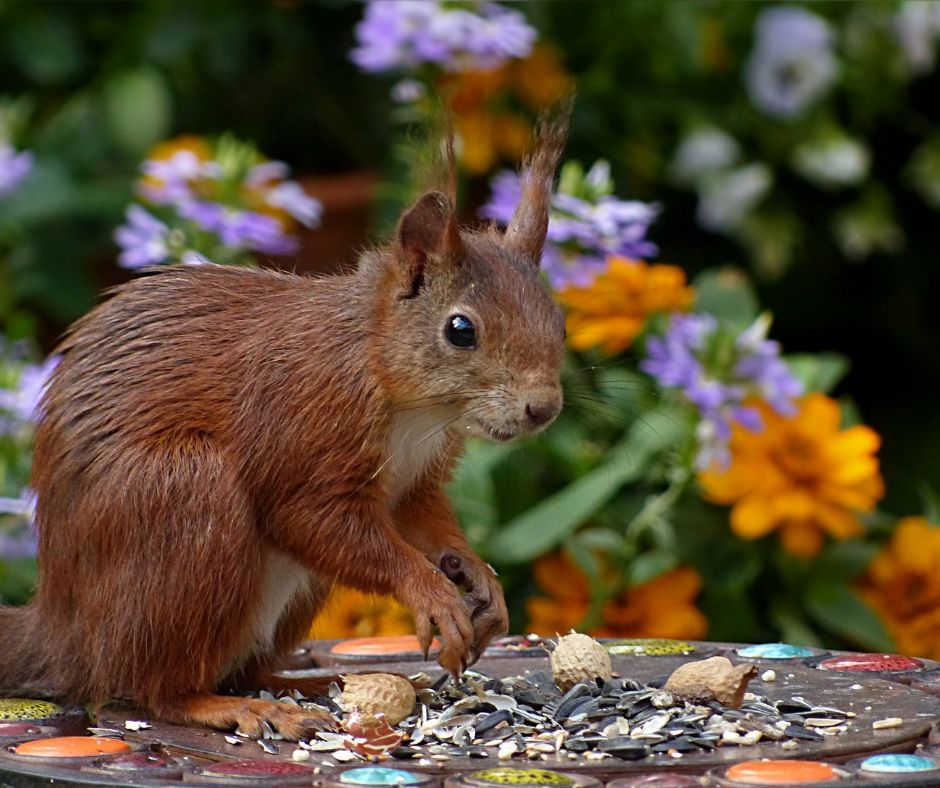 Natur Achtsamkeit Sichtbarkeit Selbstvermarktung ohne Social Media