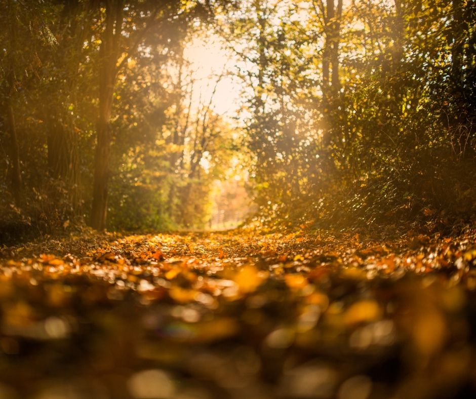 Achtsamkeit Sichtbarkeit Selbstvermarktung Marketing ohne Social Media